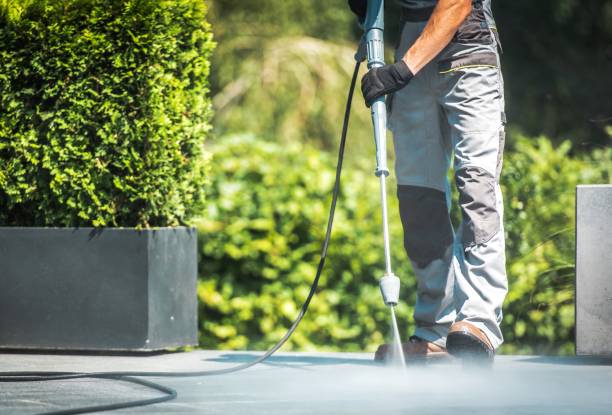 Best Fleet Vehicle Washing  in Lake Butler, FL