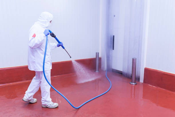 Best Roof Washing  in Lake Butler, FL