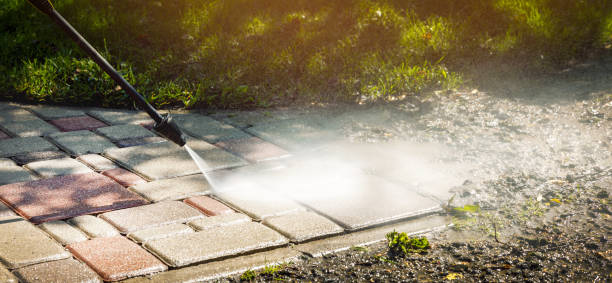 Best Soft Washing  in Lake Butler, FL
